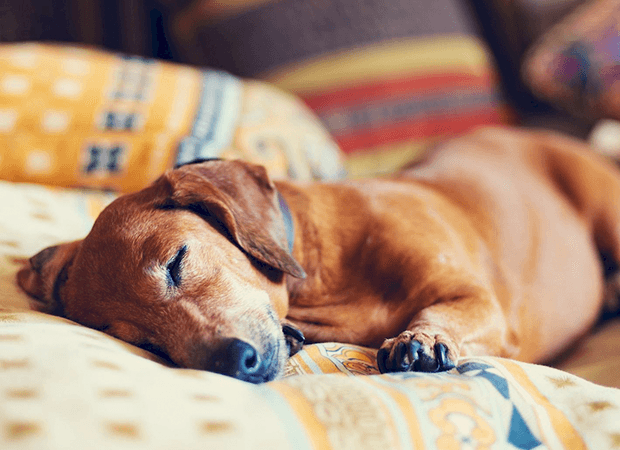 sosyal sorumluluk PRY Bordro PRY Sosyal Sorumluluk